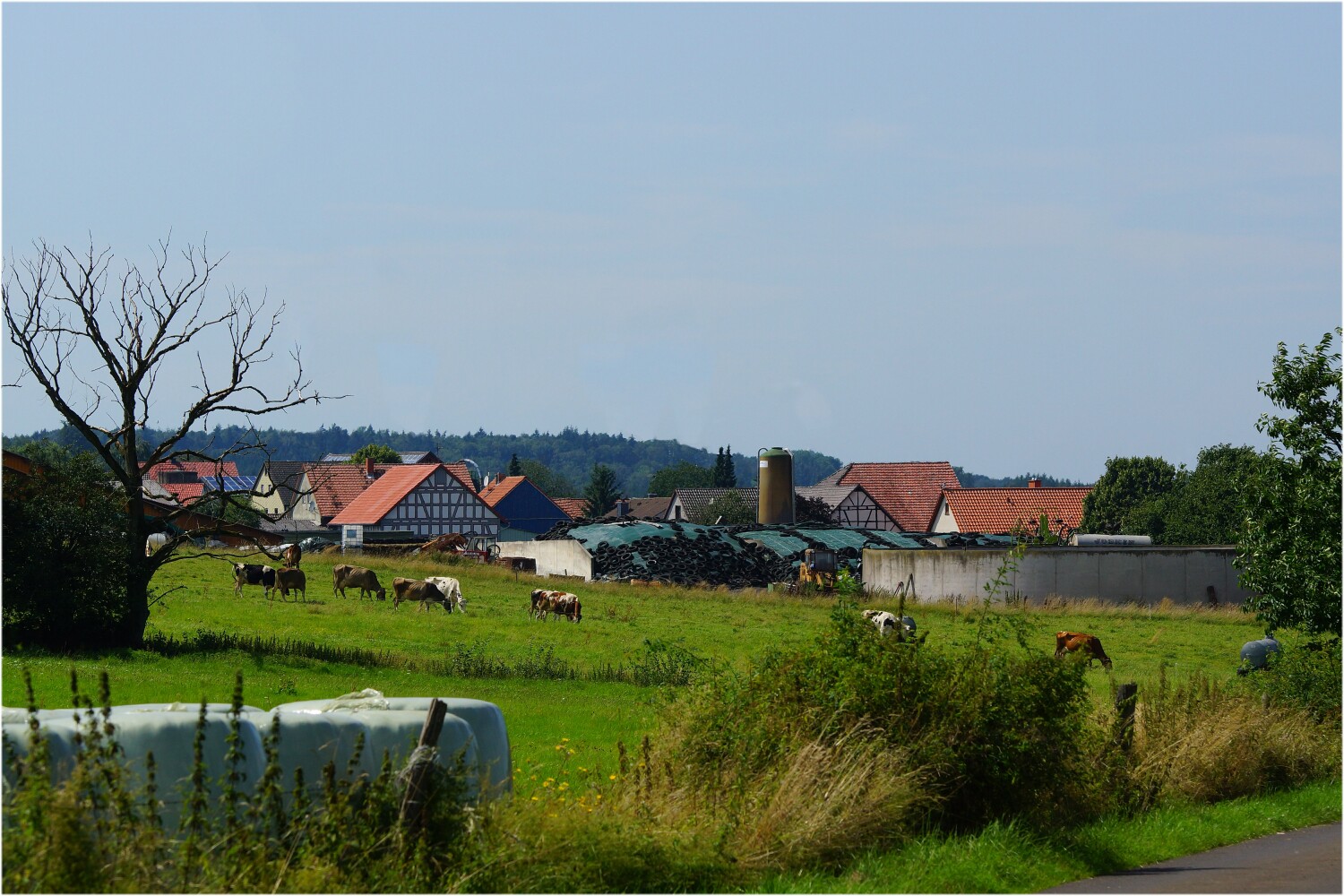 19 D HES VB Stumpertenrod DSC00510 1.jpg